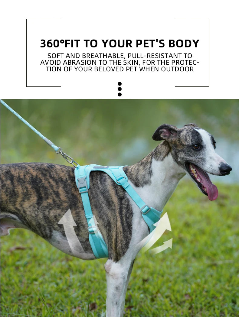Walking Dog Harnesses Set With Leashes Pet Dog Cat Gifts Vest For Small Medium Large Dogs Rope Set Outdoor Training Pet Supplies