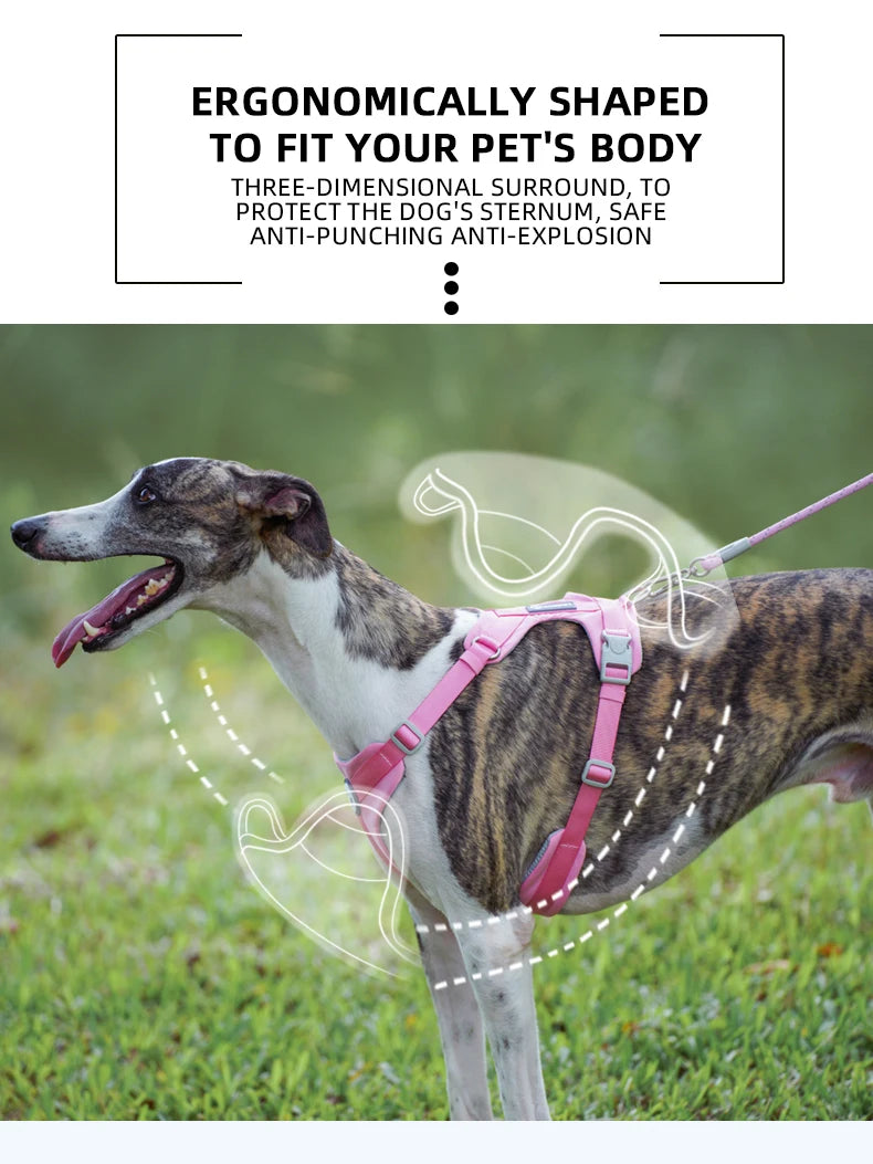 Walking Dog Harnesses Set With Leashes Pet Dog Cat Gifts Vest For Small Medium Large Dogs Rope Set Outdoor Training Pet Supplies