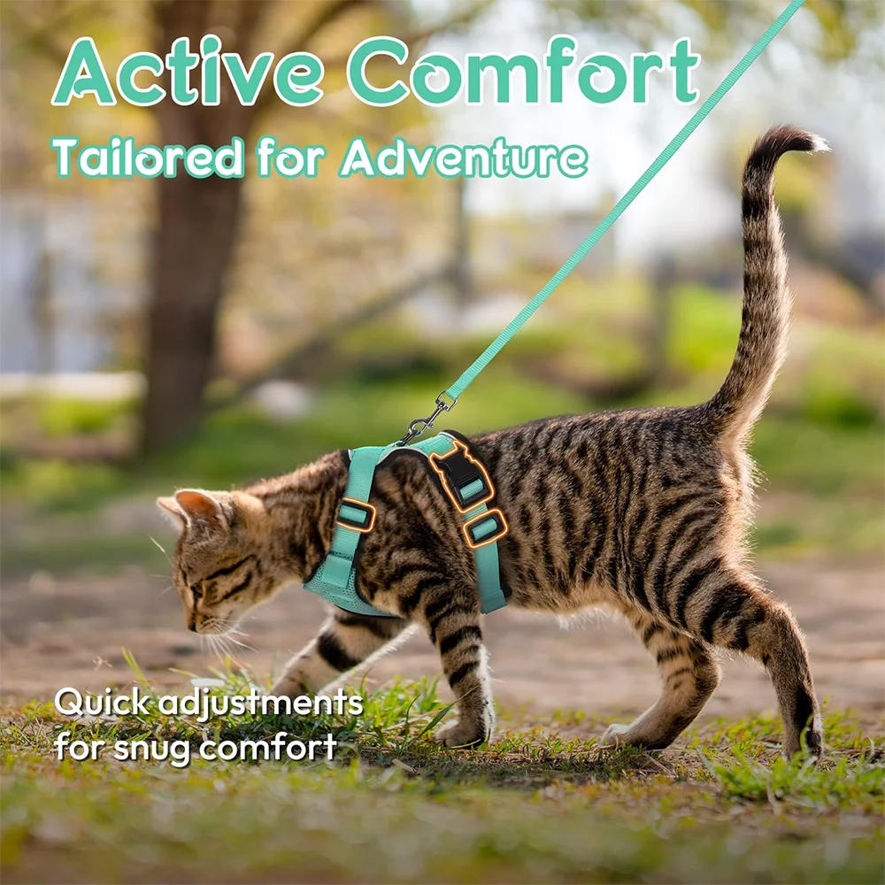 Cat Puppy Outdoor Walking Supplies Fashion Pet Harness and Leash Set for Small Dogs Cats Breathable Durable Kitten Harnesses