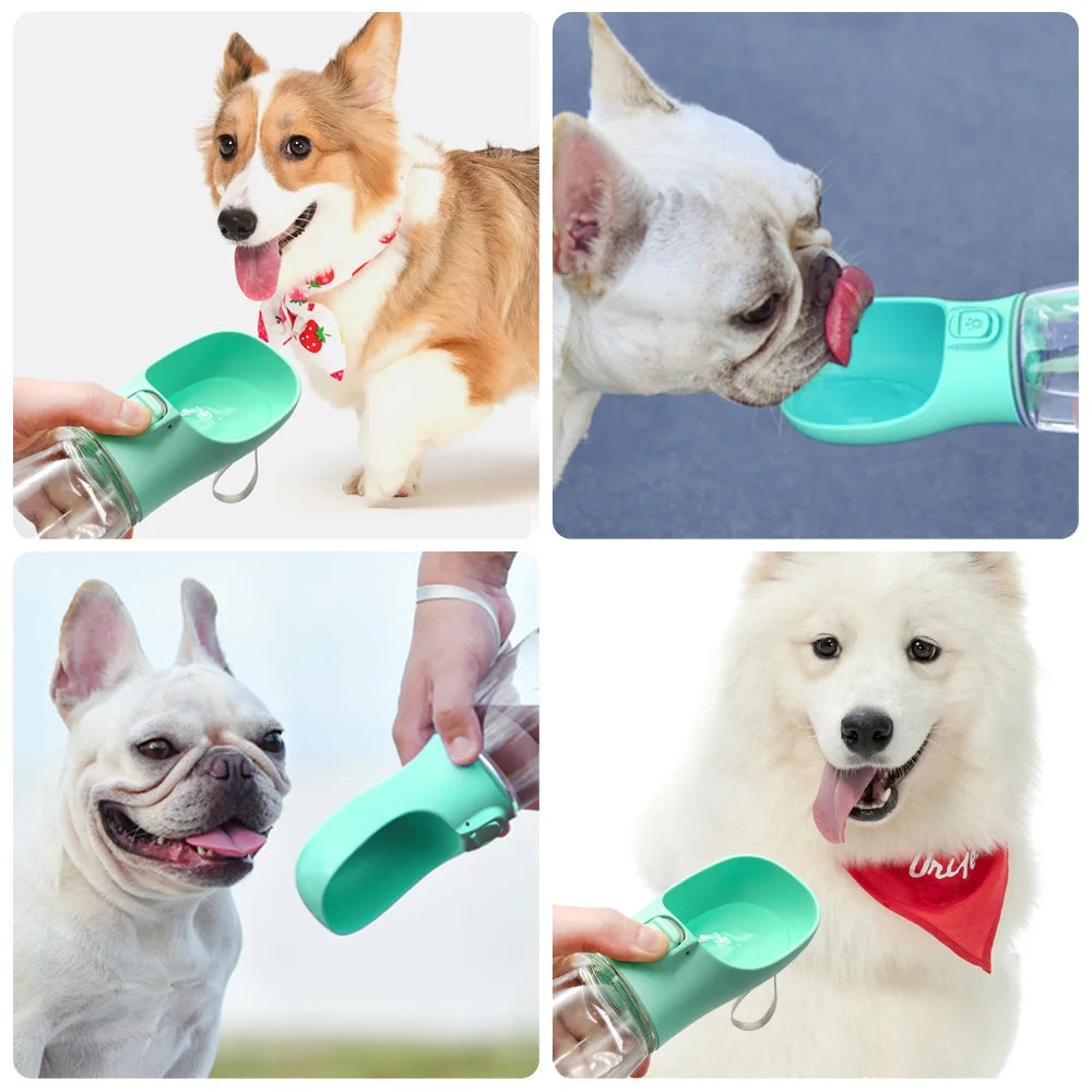 Portable Pet Water Bottle for Dogs & Cats