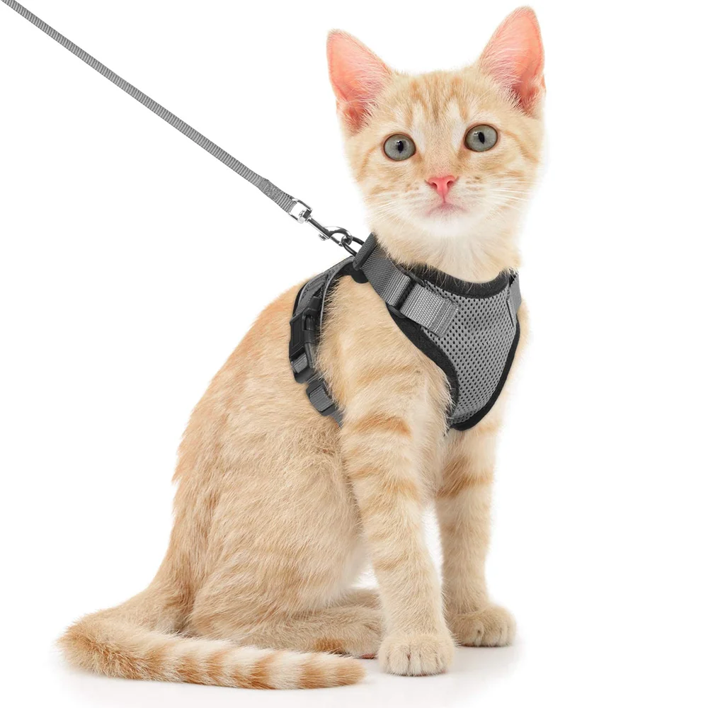 Cat Puppy Outdoor Walking Supplies Fashion Pet Harness and Leash Set for Small Dogs Cats Breathable Durable Kitten Harnesses