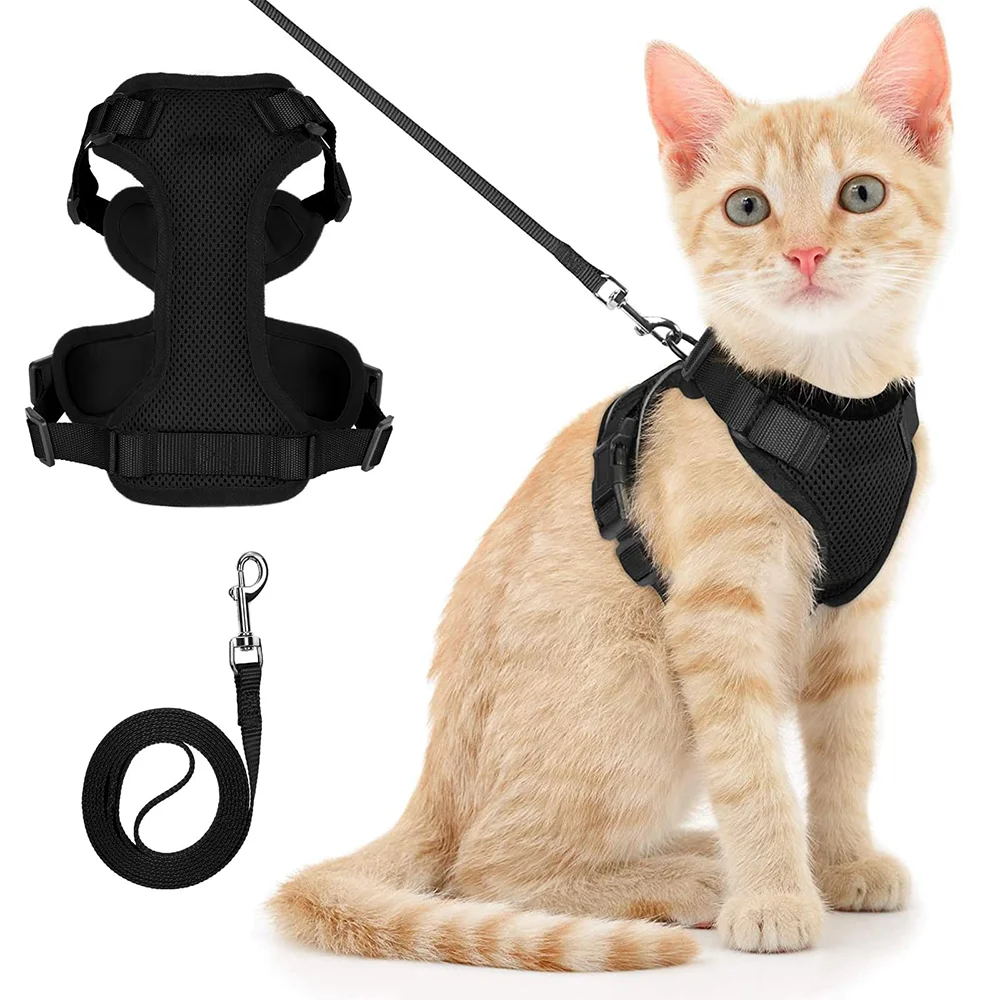 Cat Puppy Outdoor Walking Supplies Fashion Pet Harness and Leash Set for Small Dogs Cats Breathable Durable Kitten Harnesses