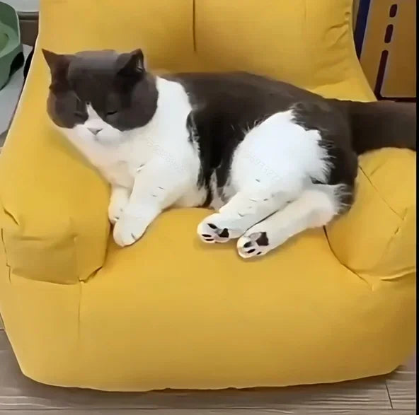 Cat Sofa Bed, Adorable Cartoon Pet Bed with Removable Washable Cover, Plush Cat Furniture for Indoor Cats Up To 6 Lbs (2.72kg)