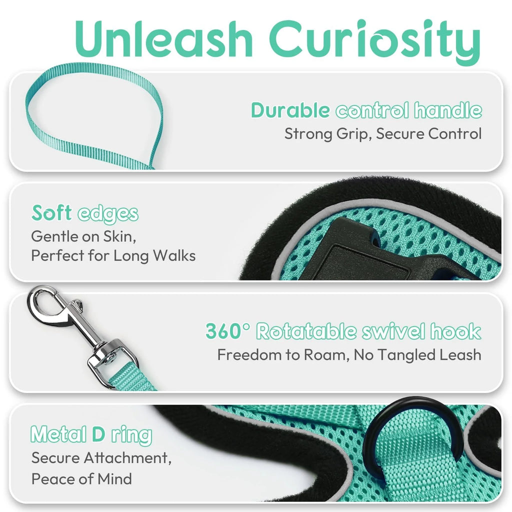 Cat Puppy Outdoor Walking Supplies Fashion Pet Harness and Leash Set for Small Dogs Cats Breathable Durable Kitten Harnesses