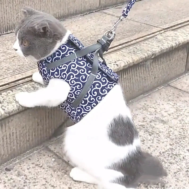 Pet supplies Favorite cat traction rope walking cat vest breathable pet chest strap cat traction strap Easy to carry and wear