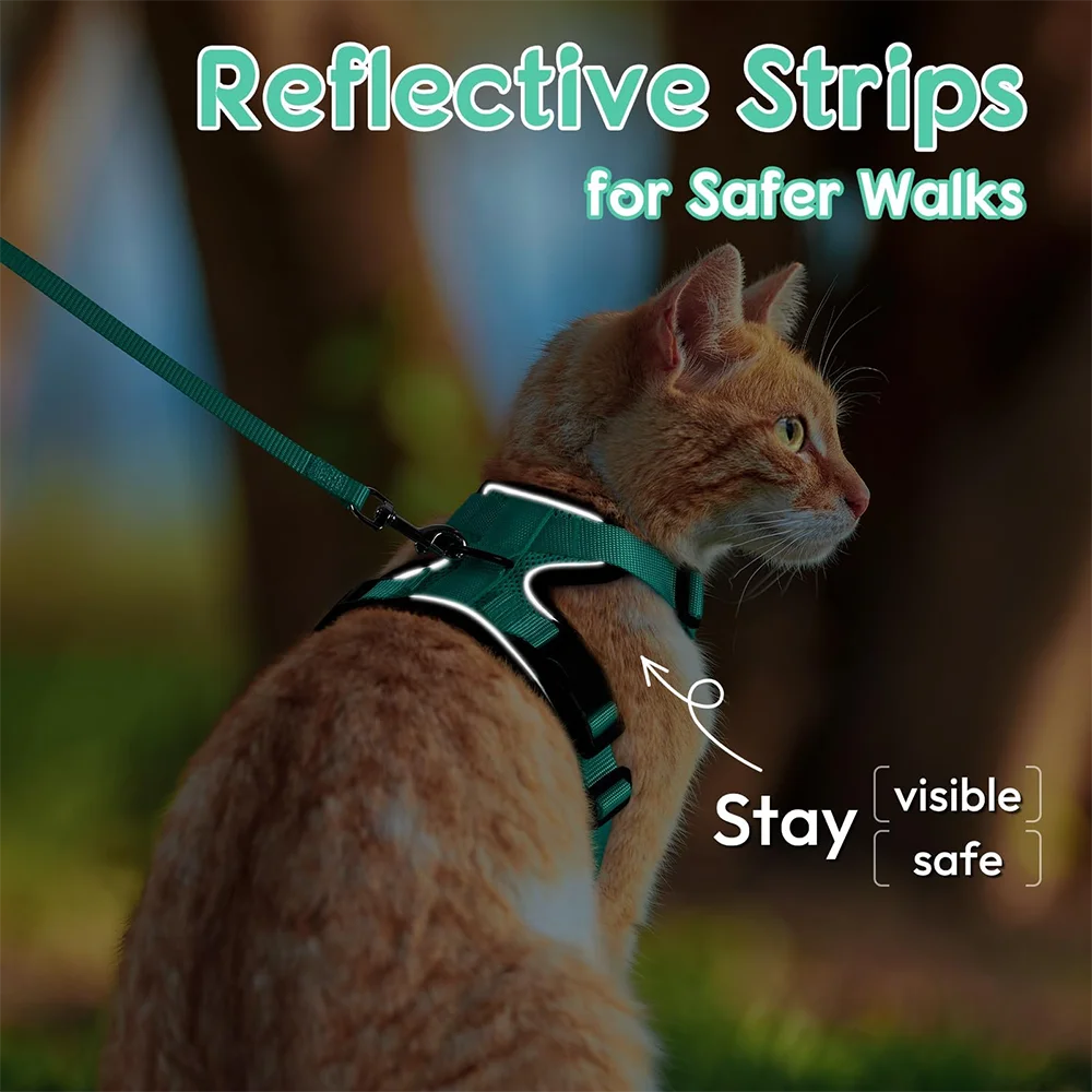 Cat Puppy Outdoor Walking Supplies Fashion Pet Harness and Leash Set for Small Dogs Cats Breathable Durable Kitten Harnesses