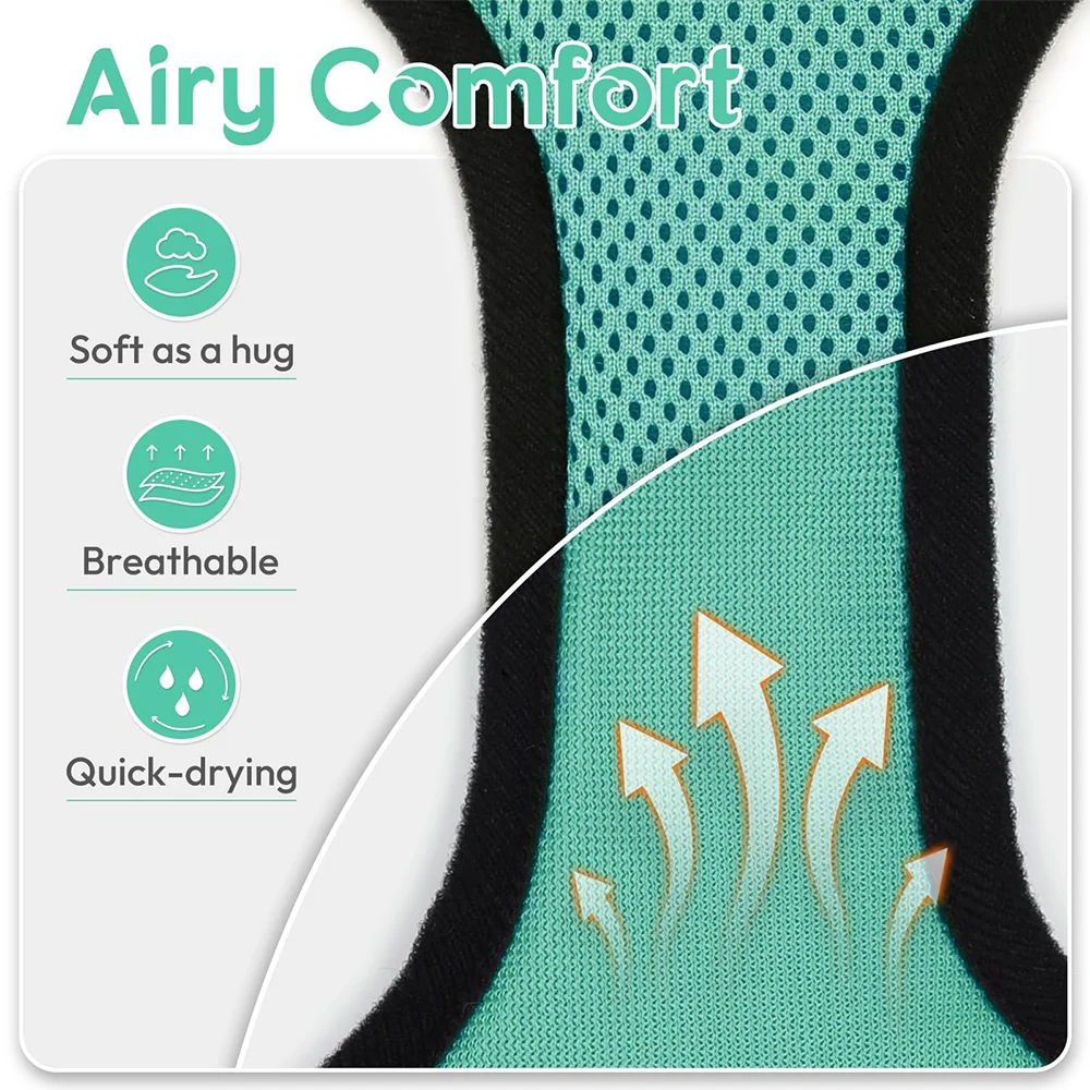Cat Puppy Outdoor Walking Supplies Fashion Pet Harness and Leash Set for Small Dogs Cats Breathable Durable Kitten Harnesses