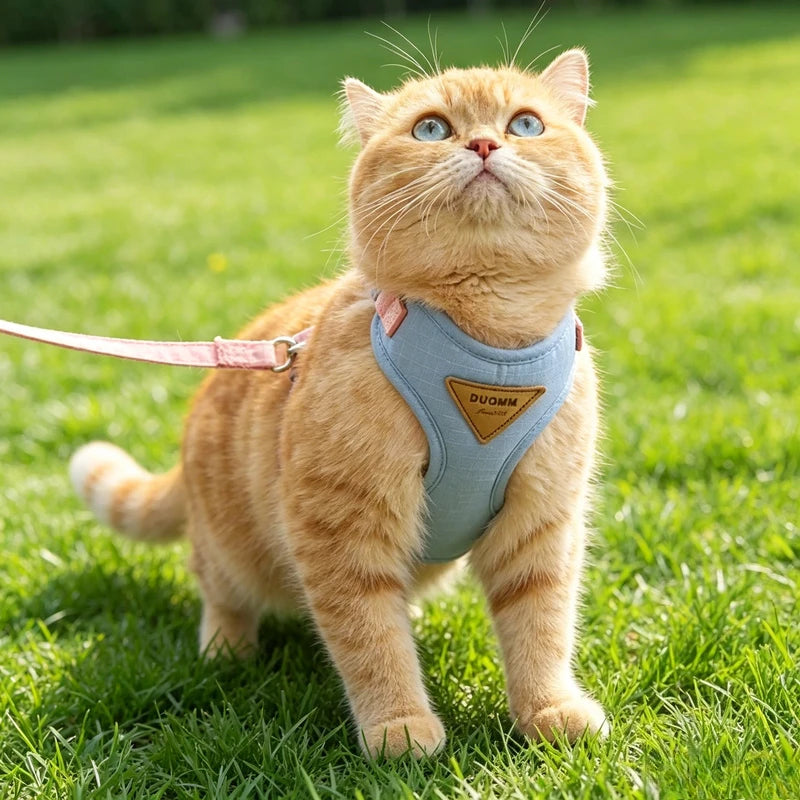 Cat Puppy Outdoor Walking Supplies Fashion Pet Harness and Leash Set for Small Dogs Cats Breathable Durable Kitten Harnesses